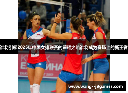 谁将引领2025年中国女排联赛的荣耀之路谁将成为赛场上的新王者