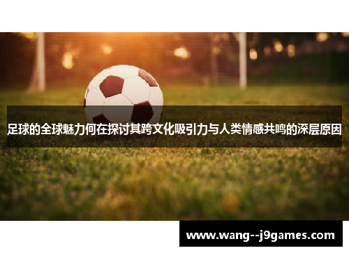 足球的全球魅力何在探讨其跨文化吸引力与人类情感共鸣的深层原因